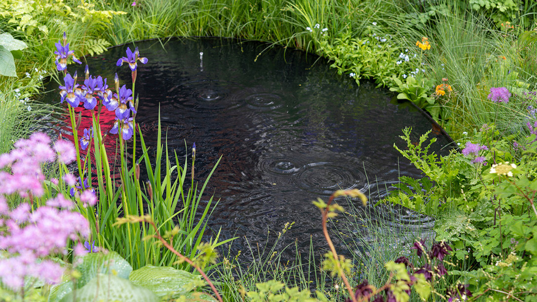 Фотографии  выставочного сада Челси 2023,  rhs.org.uk 