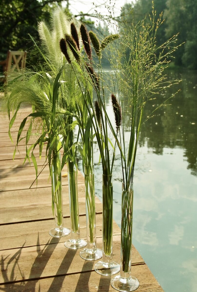 Фото Сергей Семёнов ,работа Ирины Княжевой 