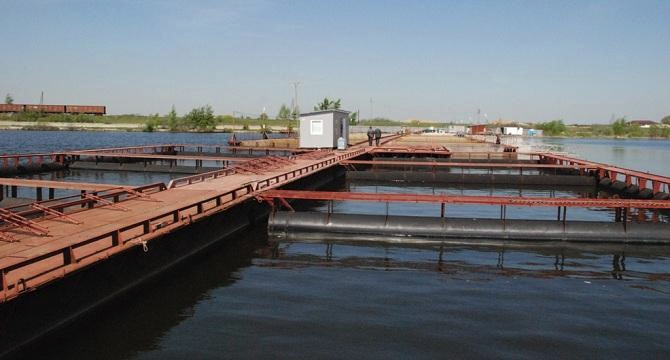 Арский рыбхоз. Бисеровский рыбный комбинат. Бисеровский Рыбхоз. Бисеровский рыбокомбинат магазин. Бисеровский рыбокомбинат платная рыбалка.