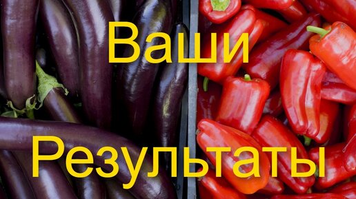 Нам ВАЖНЫ ваши результаты! Применение активной мульчи.