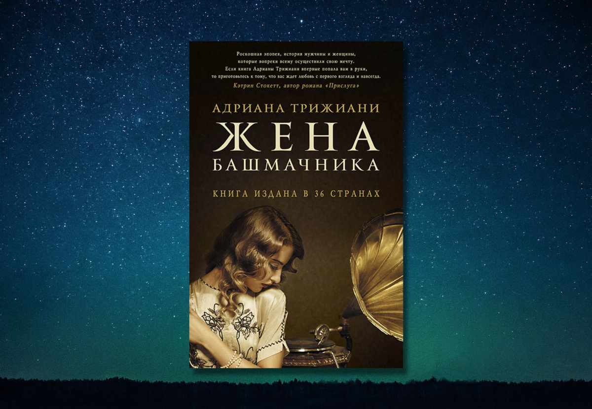 Читать книги жена башмачника. Жена башмачника книга обложка.