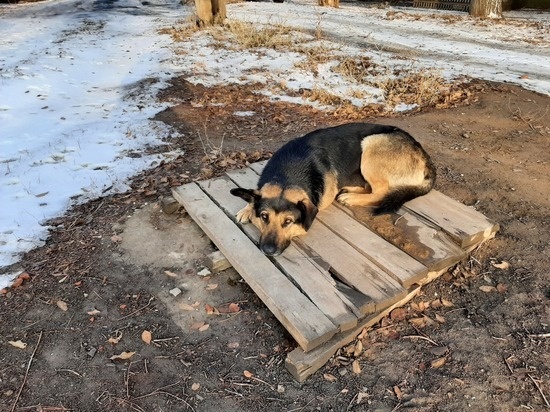     Фото: Евгений Кузнецов