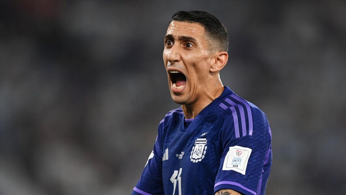    Футбол. ЧМ-2022. Матч Польша - Аргентина© РИА Новости / Григорий Сысоев