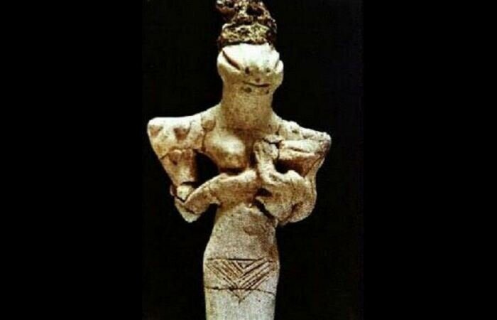 �������-���� 