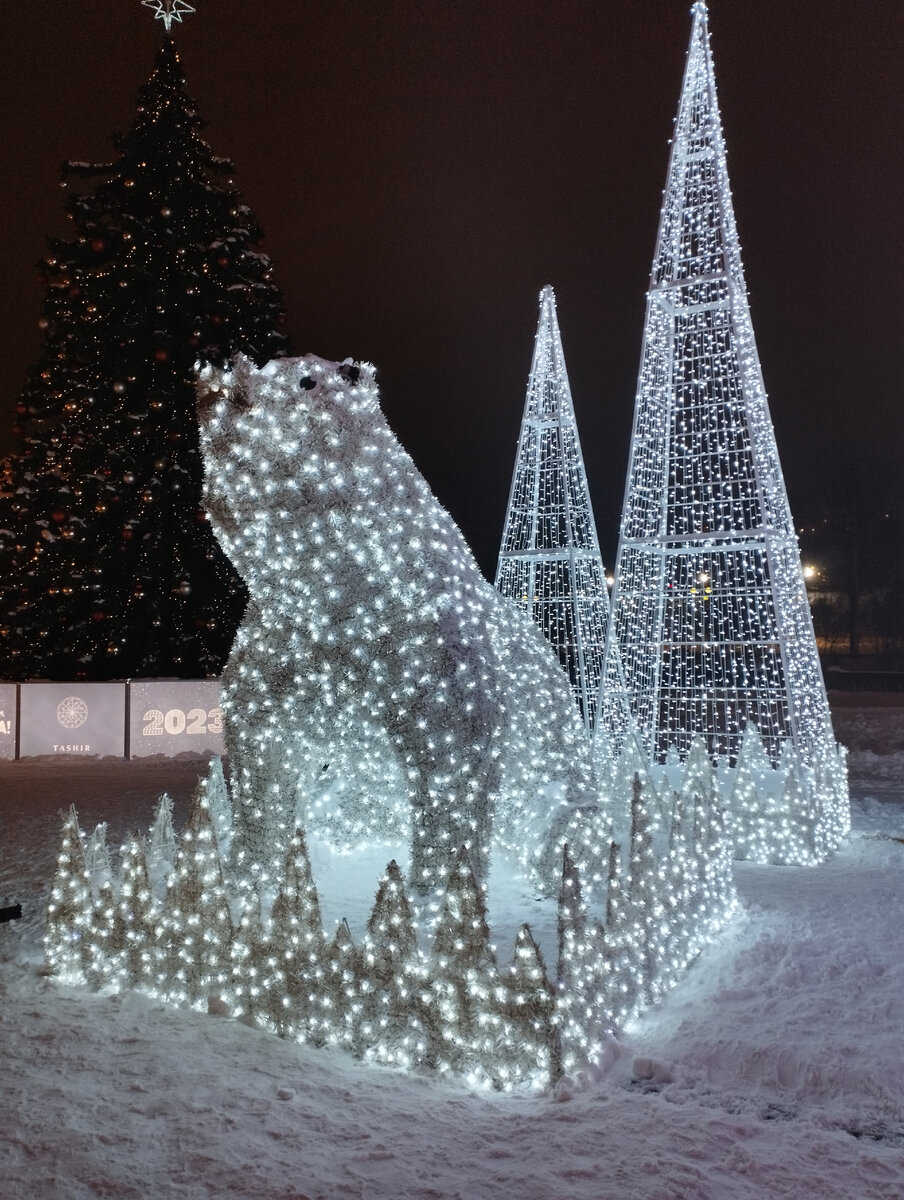 Маленькие медвежата (ФОТО АВТОРА)