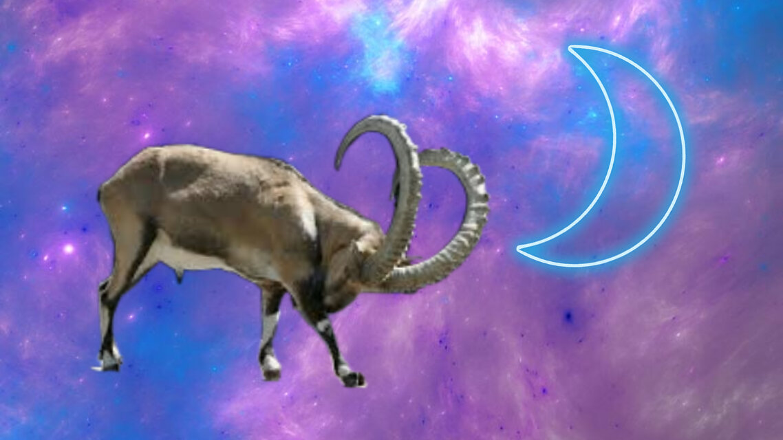 Создано на основе материалов в свободном доступе 