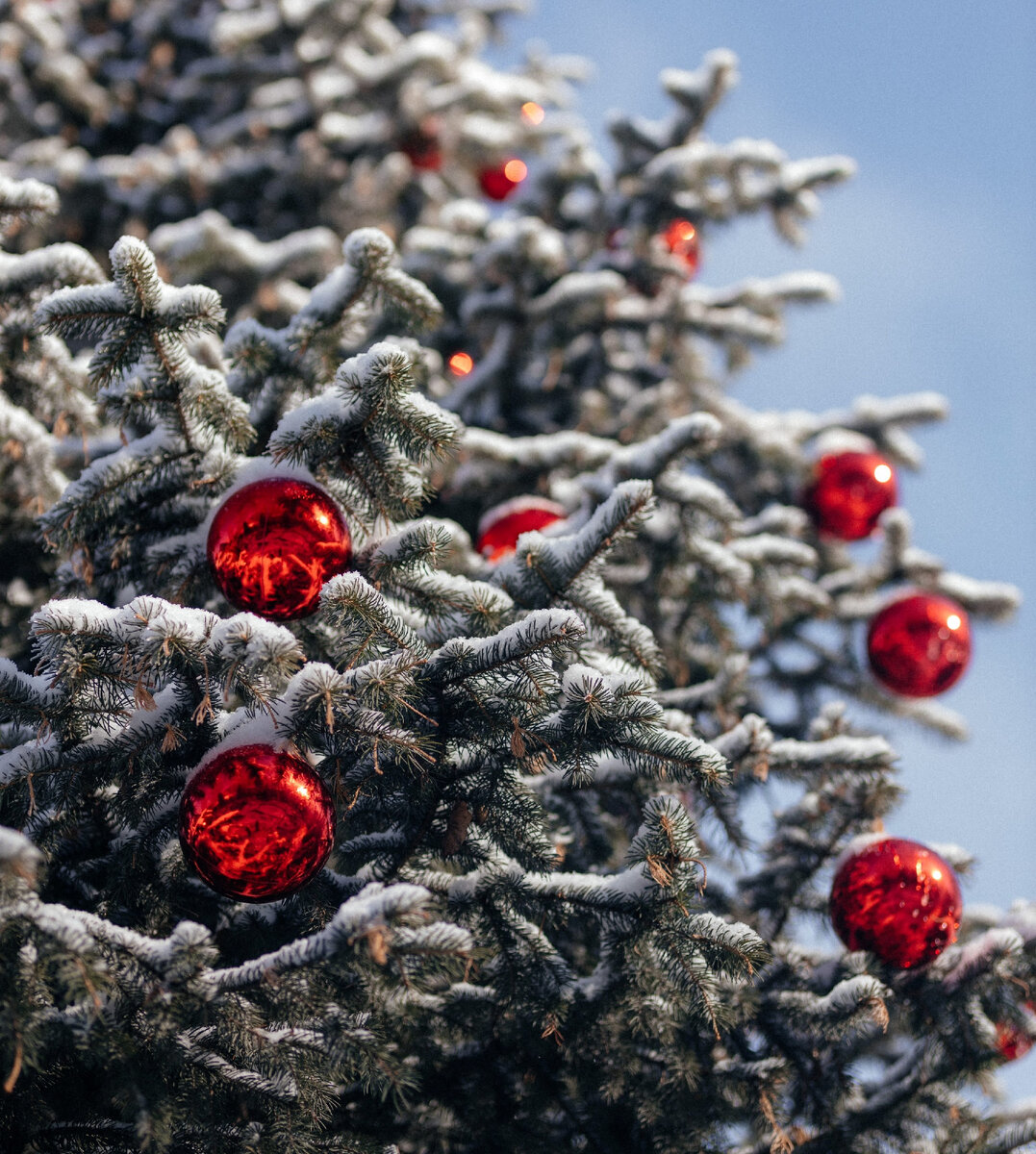 Звезды обязательно подарят удачу в 2023 году! Изображение unsplash.com