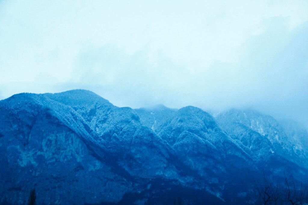     Фото: Inge Van Heerde