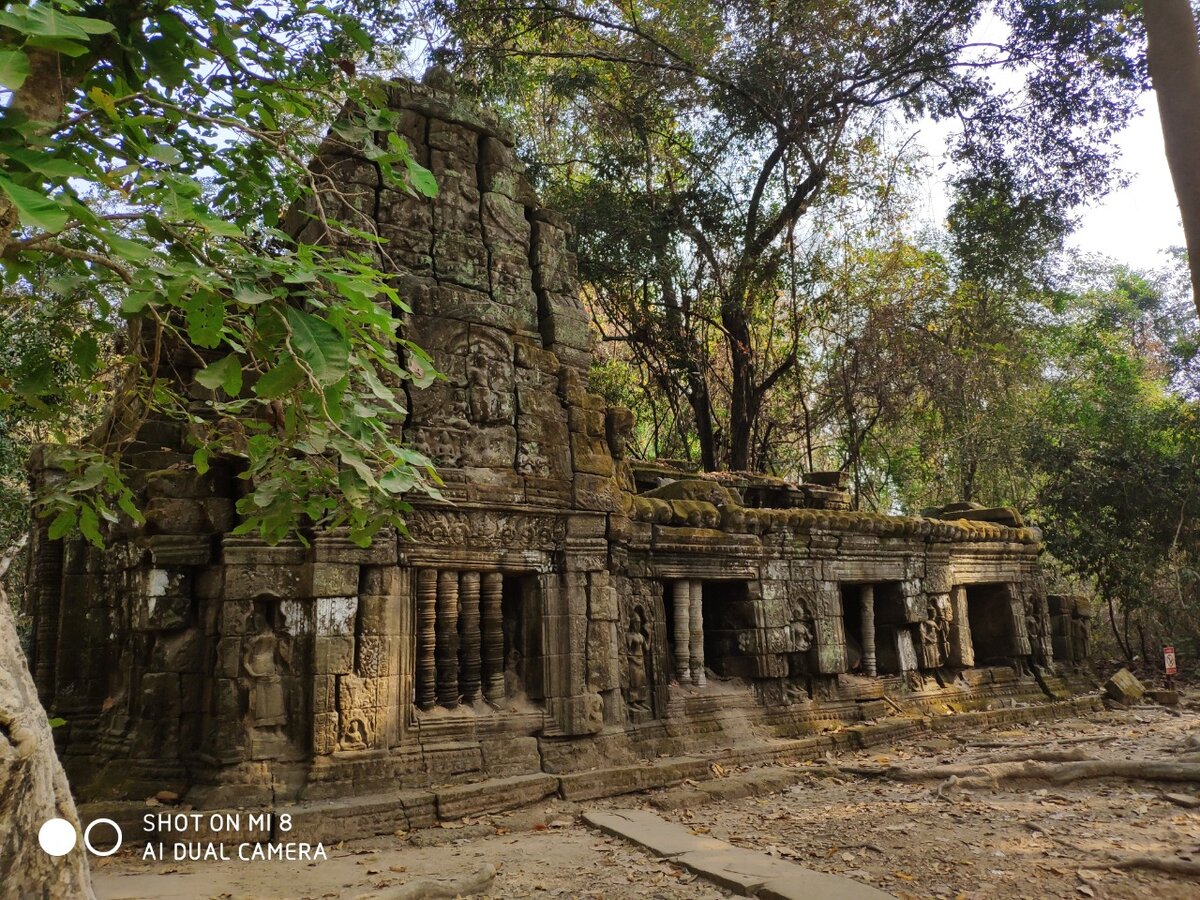 Фото автора . 