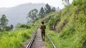    Фото: Depositphotos Анита Ким