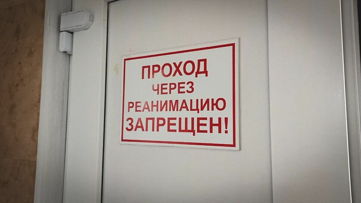     В Новошахтинске отпустили домой из больницы полицейского, в которого выстрелили на улице, сообщил в Telegram глава администрации города Сергей Бондаренко.