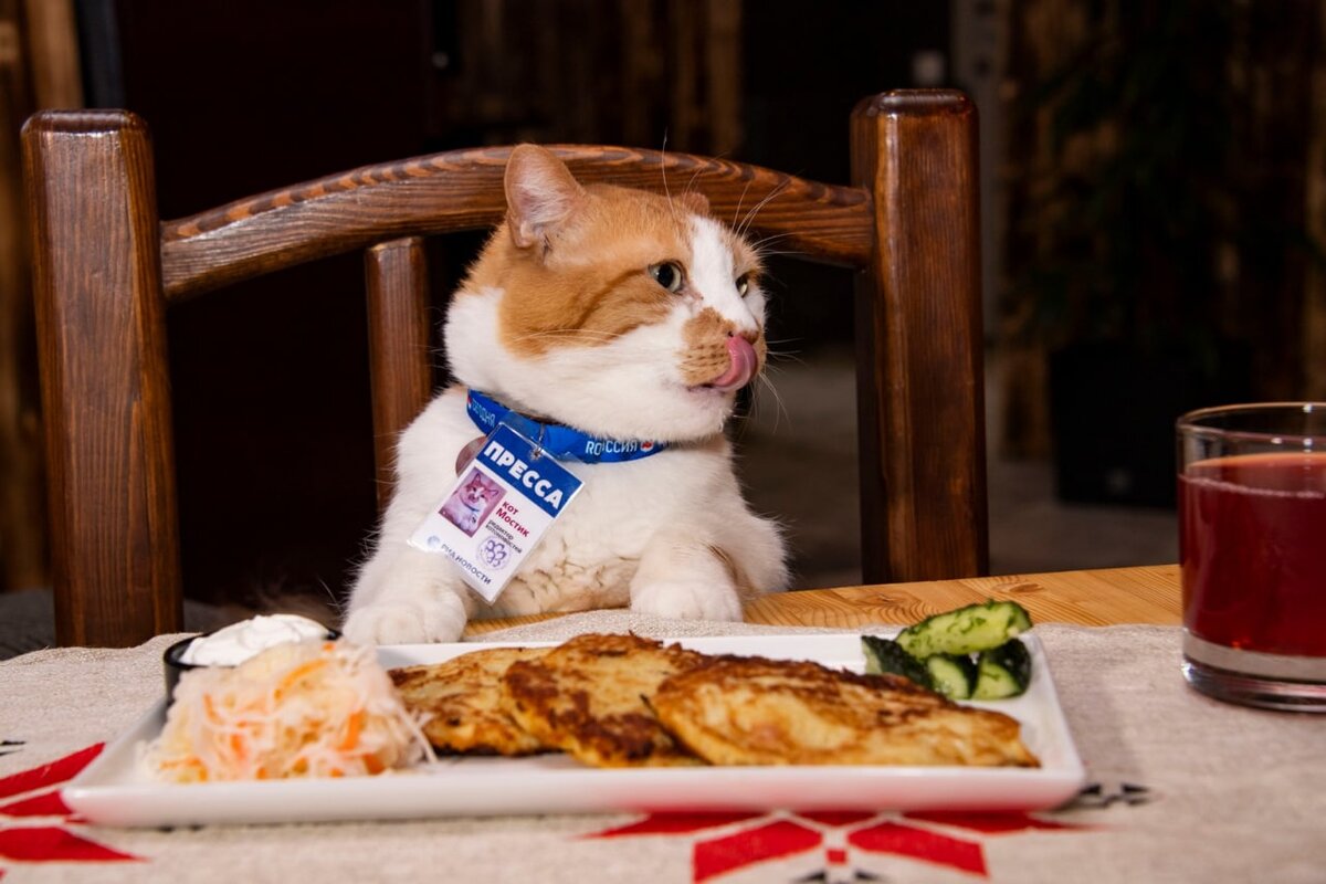 Драники я готовил, но не ел, зато сметаной угостился с удовольствием!   