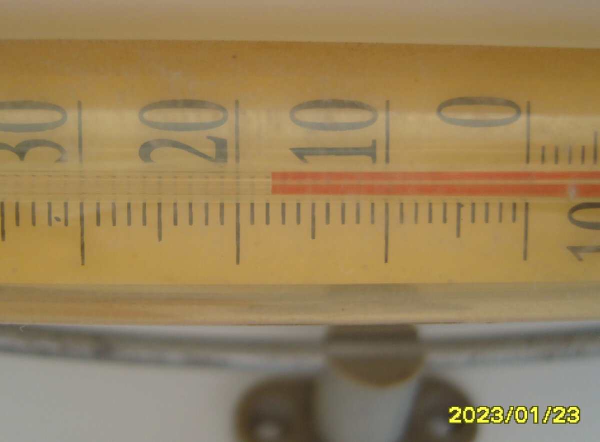 Температура воздуха на подоконнике с зимующими черенками роз на 23 января