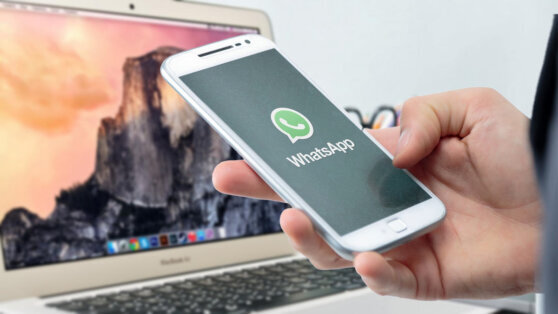    Пользователям WhatsApp стала доступна новая функция Чойгана Салчак