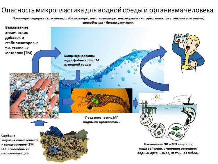 Циркуляция микропластика в природе. Источник - https://scientificrussia.ru/articles/mikroplastik-v-vodnoj-srede