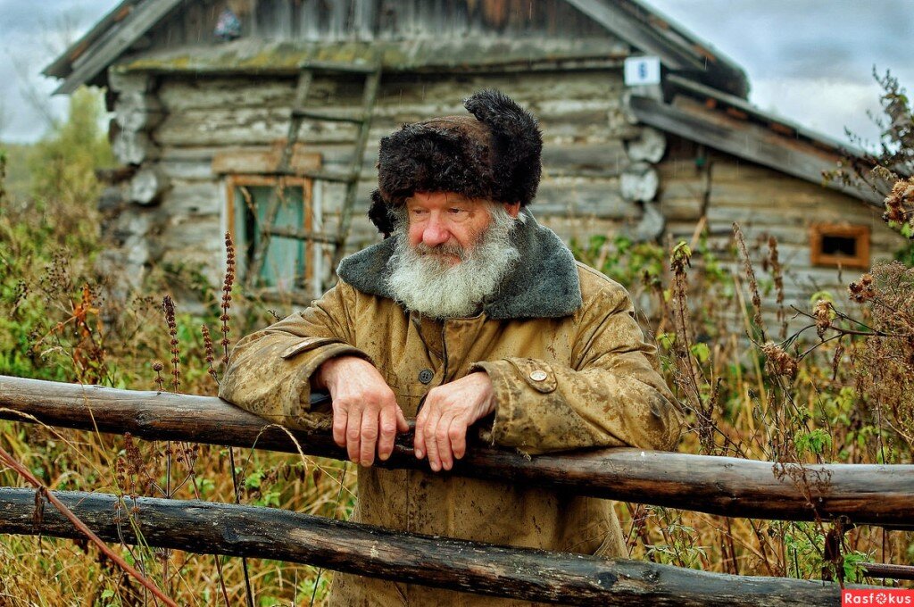 Фото для иллюстрации из свободного доступа 