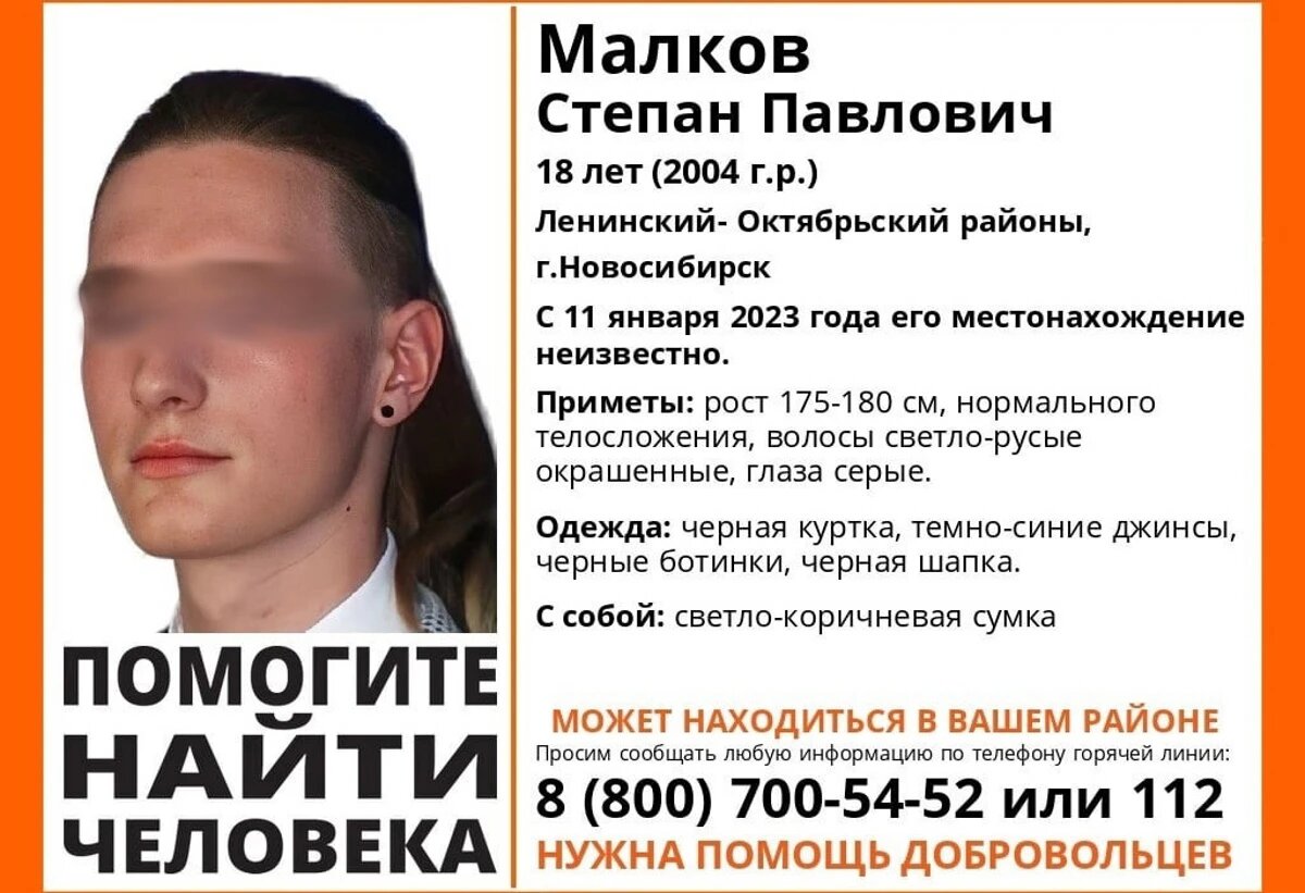 Объявление о поиске. Фото: vk.com/lizaalert_novosib