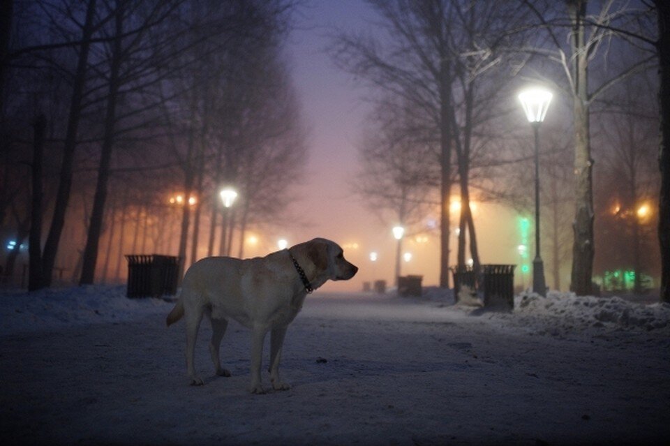     Существенных осадков не прогнозируется Алексей БУЛАТОВ