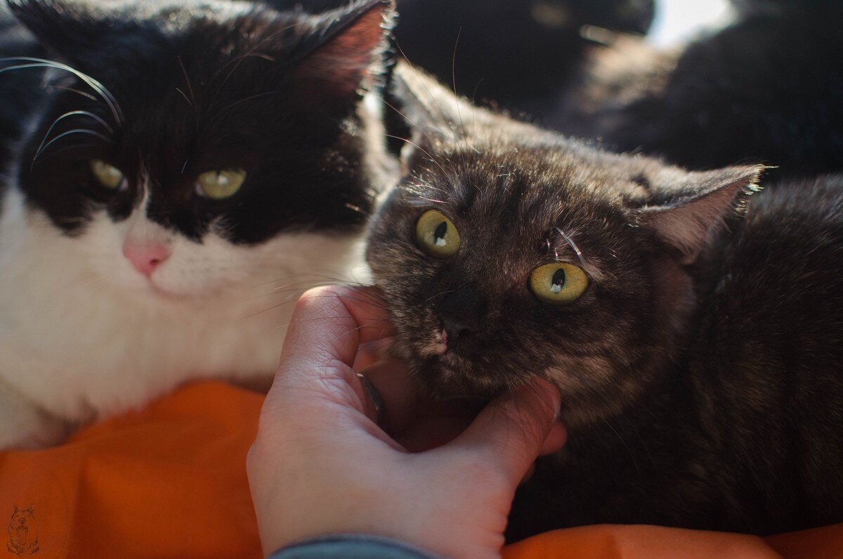 Фотография из личного архива