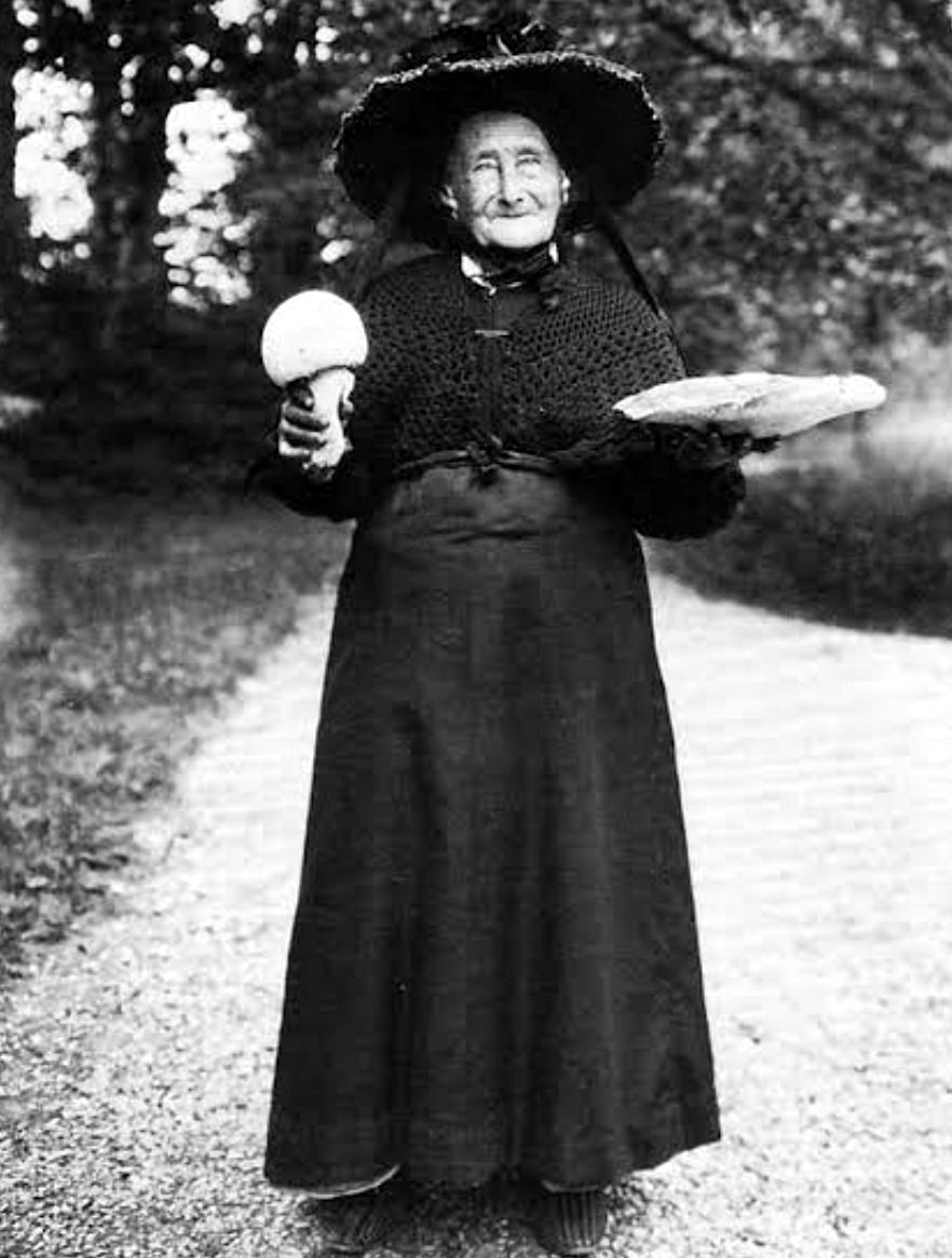 Ведьма во всей красе, фото из инета