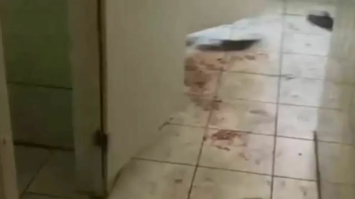 Трагедия произошла в школьном туалете. Фото: кадр из видео