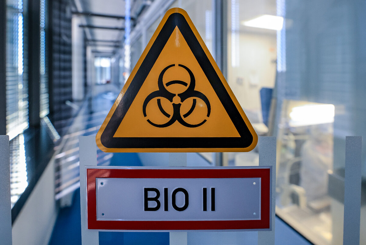 фото: Jan Woitas/dpa/Globallookpress