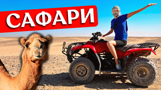 Сафари на квадроциклах в Египте с верблюдом