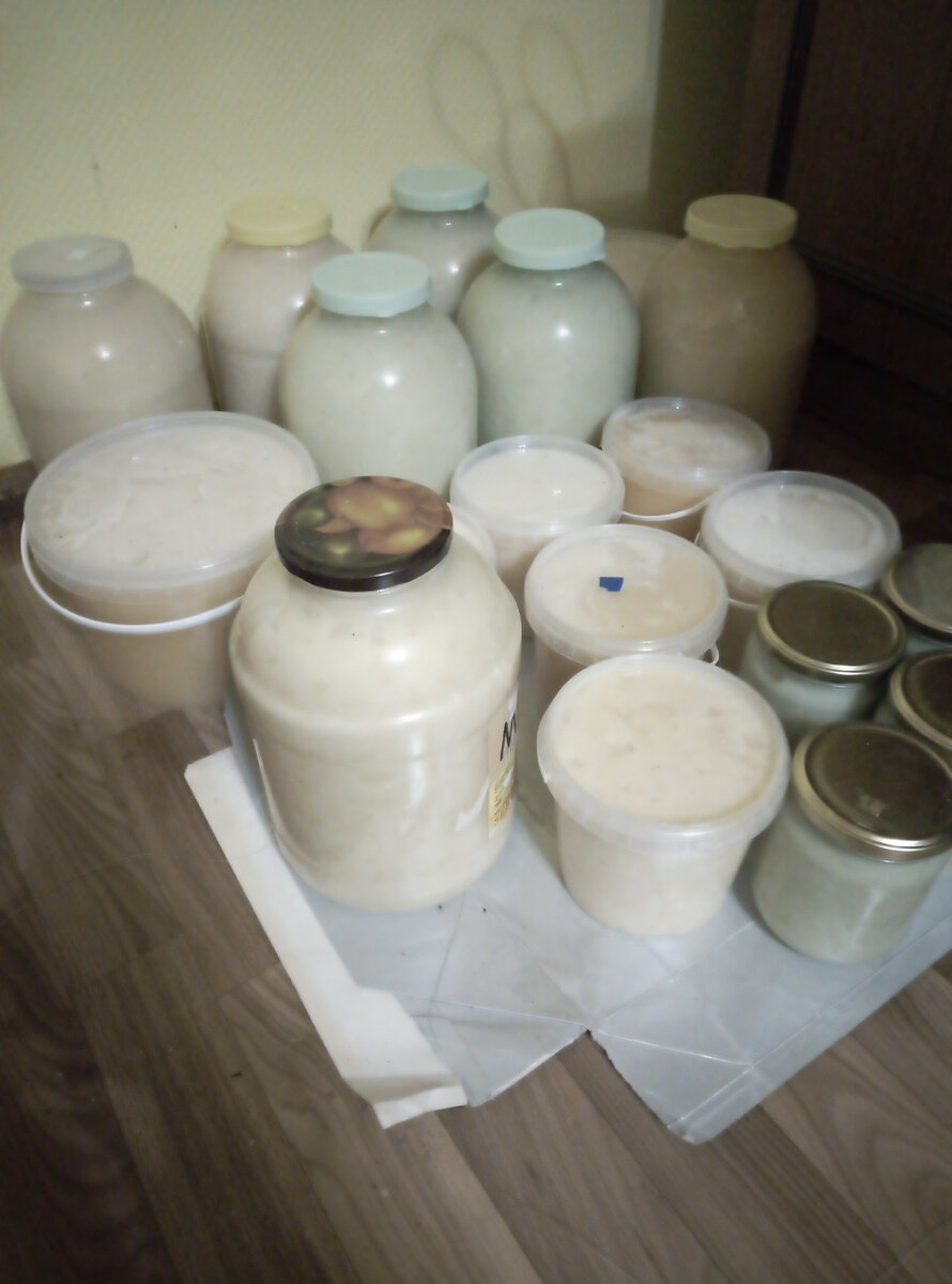 Я мой брат и отец много лет занимаемся пчеловодством. Самым урожайным был 2022 год. Столько много мёда у нас ещё никогда не было. Хотя не у всех пчеловодов был хороший год. Многие люди покупают зимой именно жидкий мед. Зимой натуральный мед от холода затвердевает. Поэтому некоторые пчеловоды растапливают затвердевший мед. После растопки из мёда улитучиваются все полезные вещества. А ведь мед это природное лекарство, например липовый мед помогает при простуде. Кроме мёда есть прополис, маточное молочко, восковая моль и цветочная перга. В 2020 году я заболел карона вирусом. После болезни у меня был небольшой кашель. Чтобы вылечить кашель я принимал настойку восковой моли и кашель прошёл. Некоторые люди лечатся уколами пчел. 