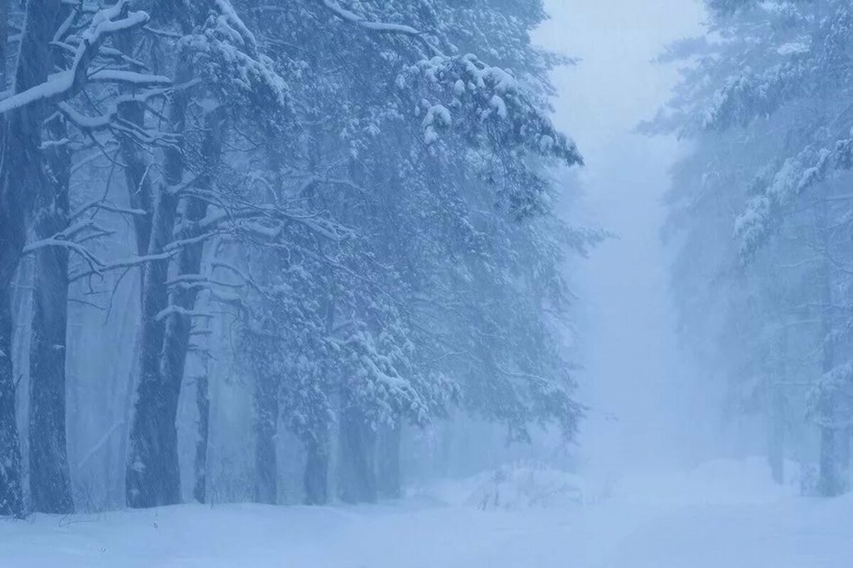 Снегопад.Иллюстрация с интернета.