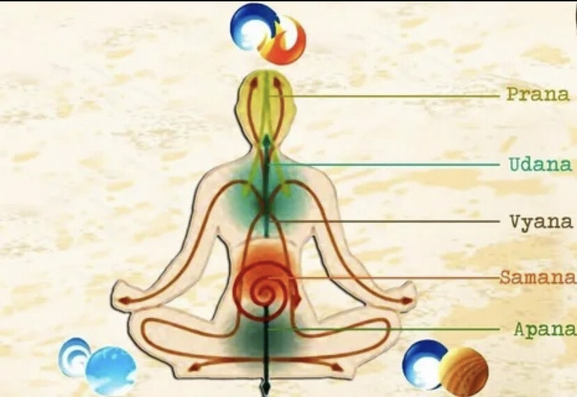 Изображение с просторов Интернета