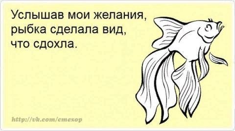 КАРТИНКА ИЗ ПРОСТОРОВ