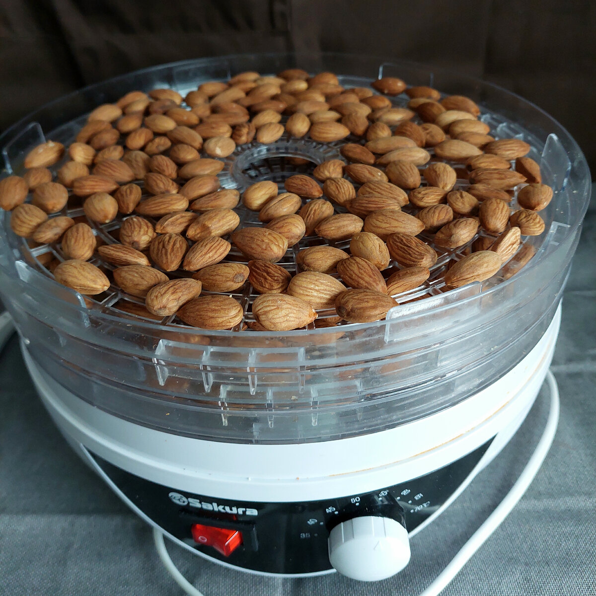 Орехи в дегидраторе 