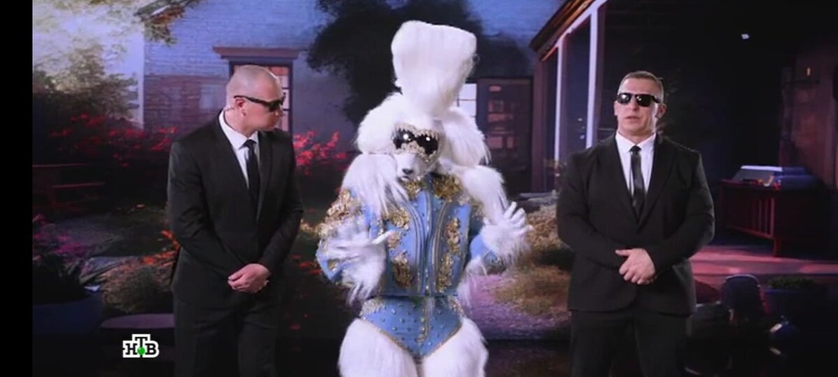 Пудель в шоу "Маска"