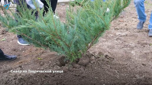 Субботник в Алуште. Сквер на Таврической/ ул. Юбилейная