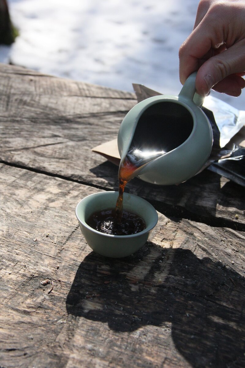 Приятной весны. Фото Александра Тонких "чайная прогулка".