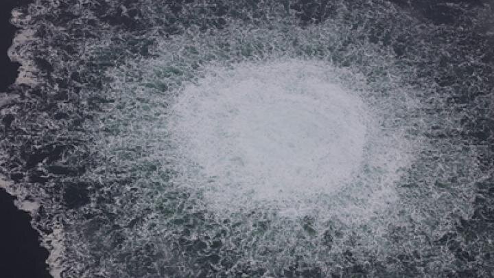 Фото: globallookpress.com/The Swedish Coast Guard/XinHua