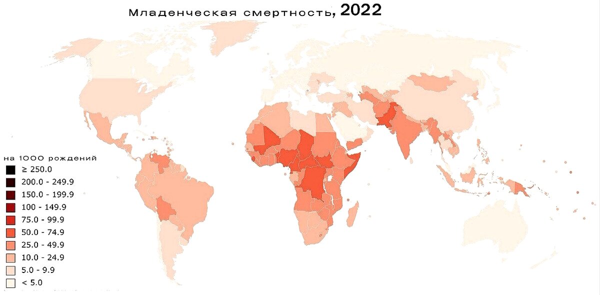 Младенческая смерть в 2022 году на карте мира.