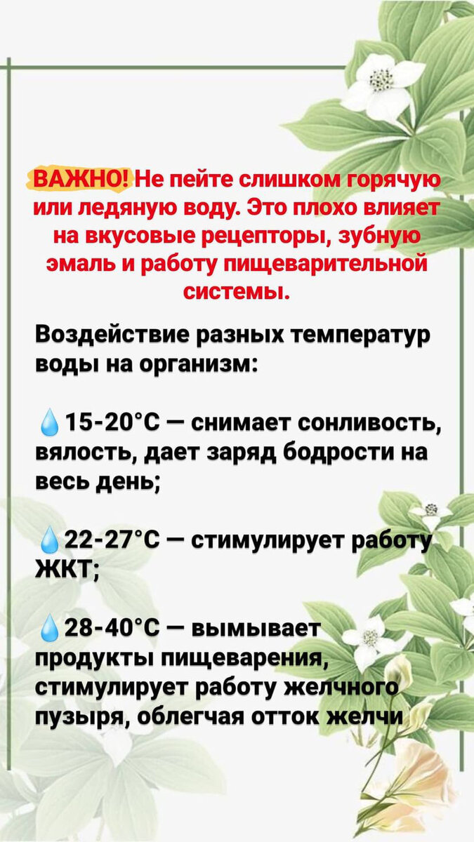10 простых шагов к здоровью кишечника: эффективные методы и советы