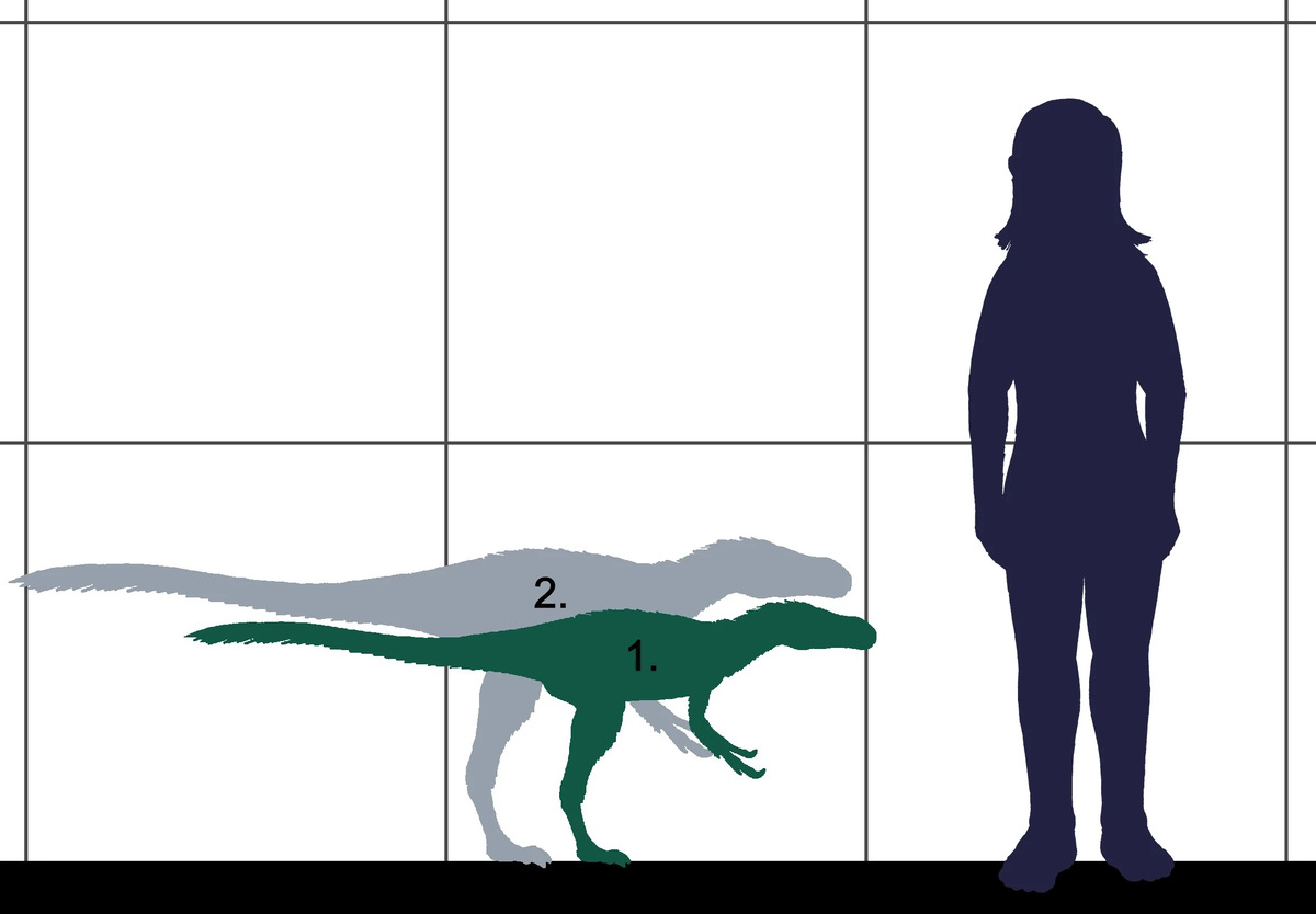 — Извините, как попасть в библиотеку? 
— Мы не знаем, мы динозавры. 
