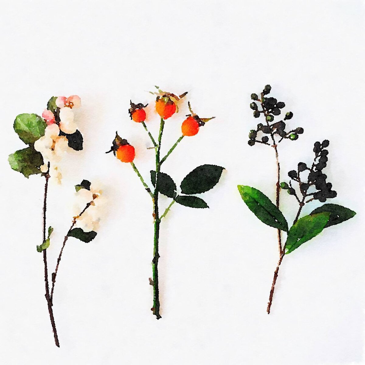 акварель, хлопок, апрель 2021