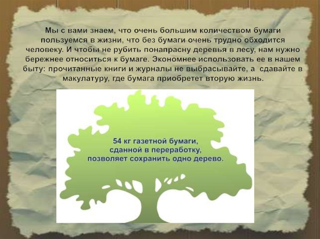 Сколько бумаги можно получить из одного дерева