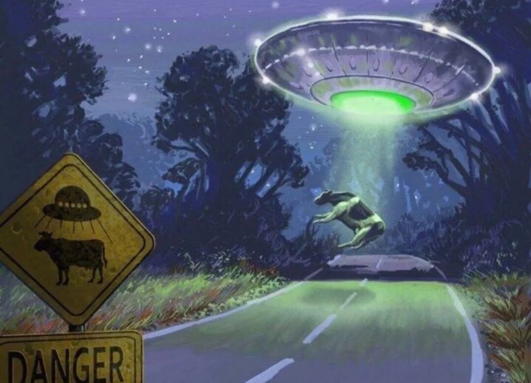 Что еще более странно, ни хищники, ни птицы не стали подбирать останки коровы, оставив ее разлагаться на несколько недель. У двух из пяти коров были сделаны круговые надрезы, удаляющие анус и наружные половые органы с такой же точностью, как и надрезы вокруг линии челюсти каждой коровы, сообщили в офисе шерифа. 