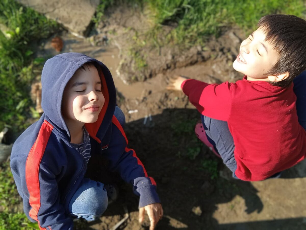 И даже близнецы, которые устроили у порога потоп и извалялись в грязи, как два поросенка, мамозавра не смогли воскресить... Ну, почти.