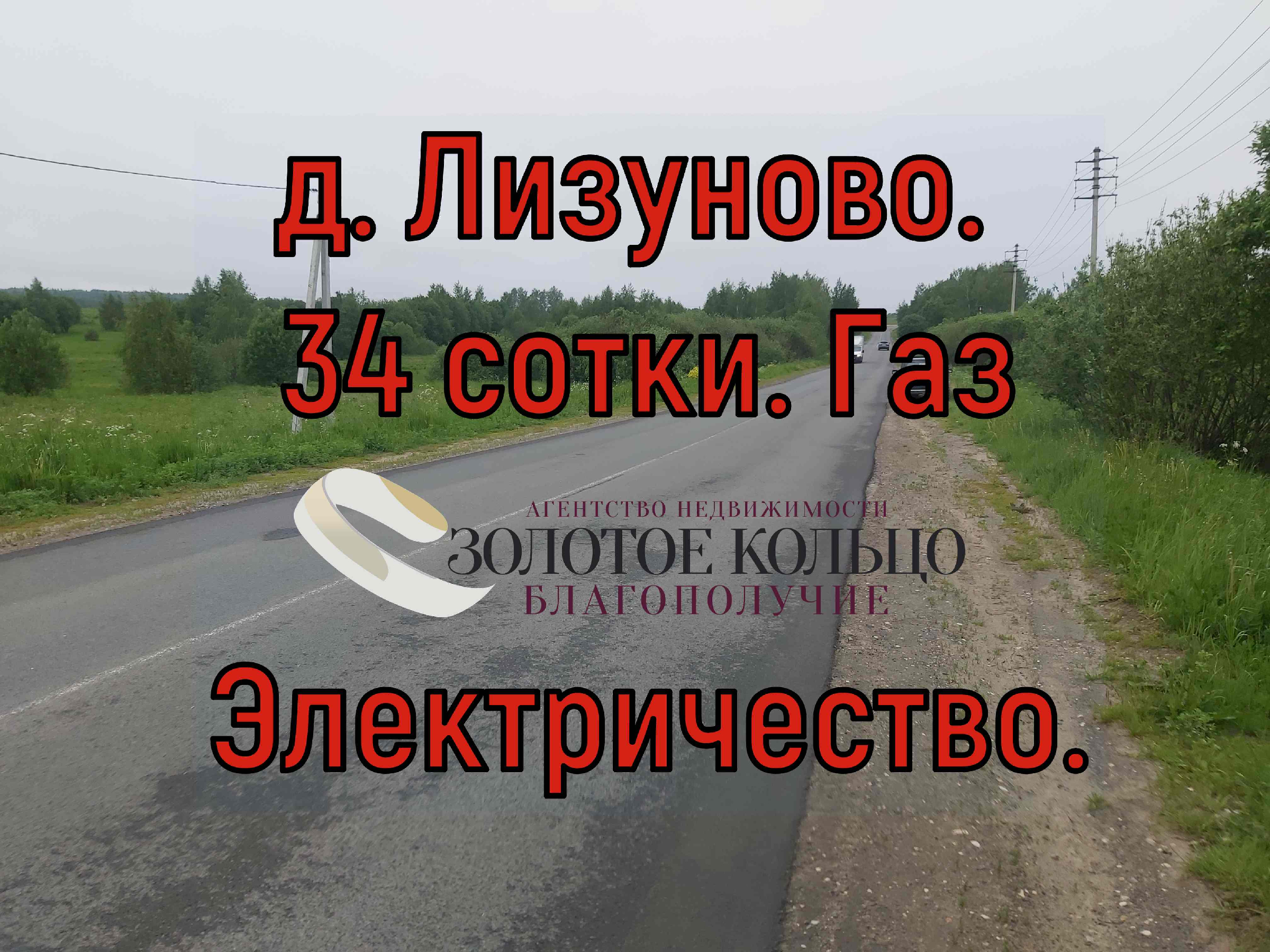 Участок 34 сотки с подключенным электричеством в д. Лизуново,  Александровский район