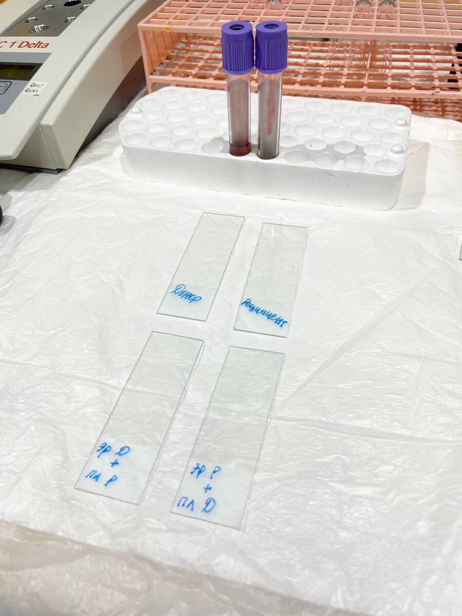 Заранее подписываем стёкла