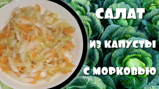 Салат из капусты с морковью витаминный салат