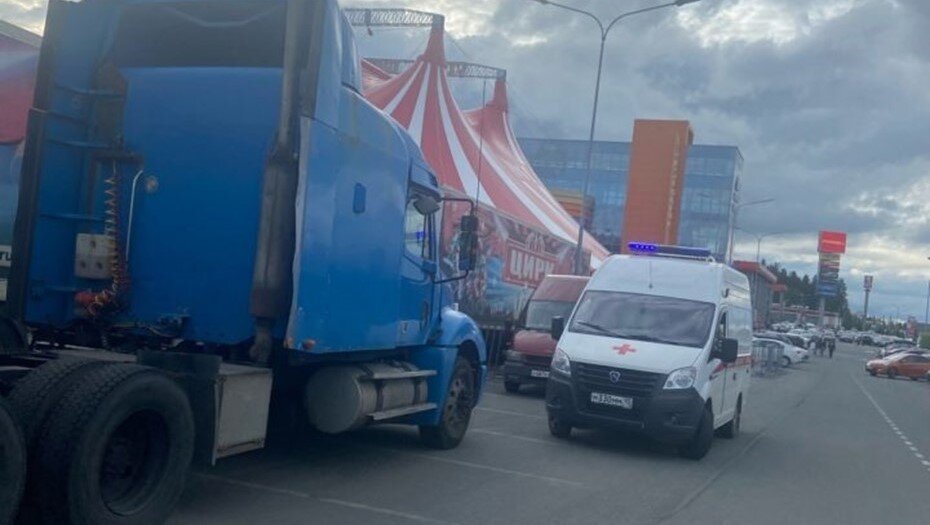    Автор фото: gubdaily.ru