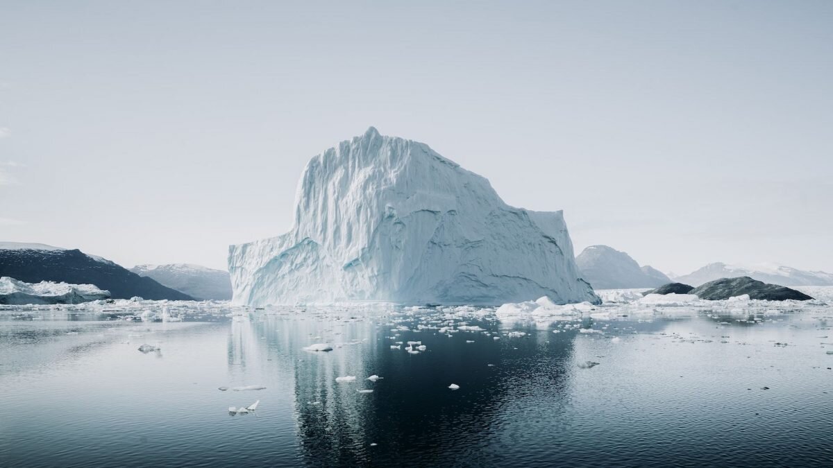    Фото: Unsplash Август Макаров