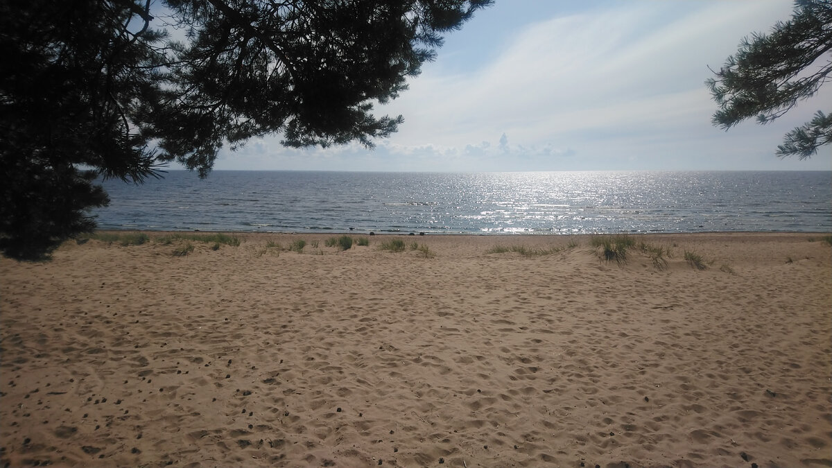 Ну примерно как здесь, хотя фото сделано у финского залива в районе Комарово пару лет назад 