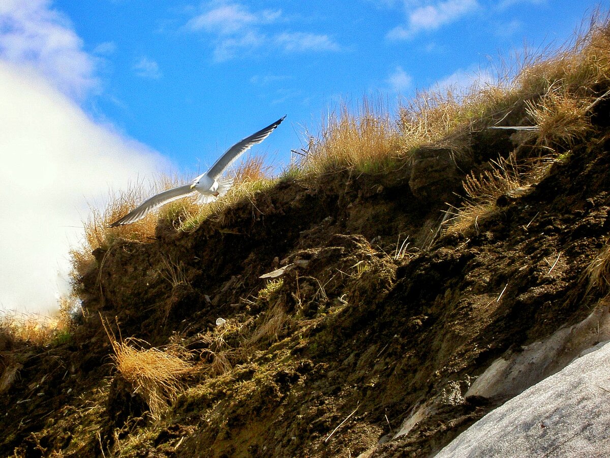 🙏 За фото спасибо Саше! 